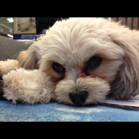 Jackie ♥️🎨💄♍️ ~ Posh Ambassador - Picture 9 of 14